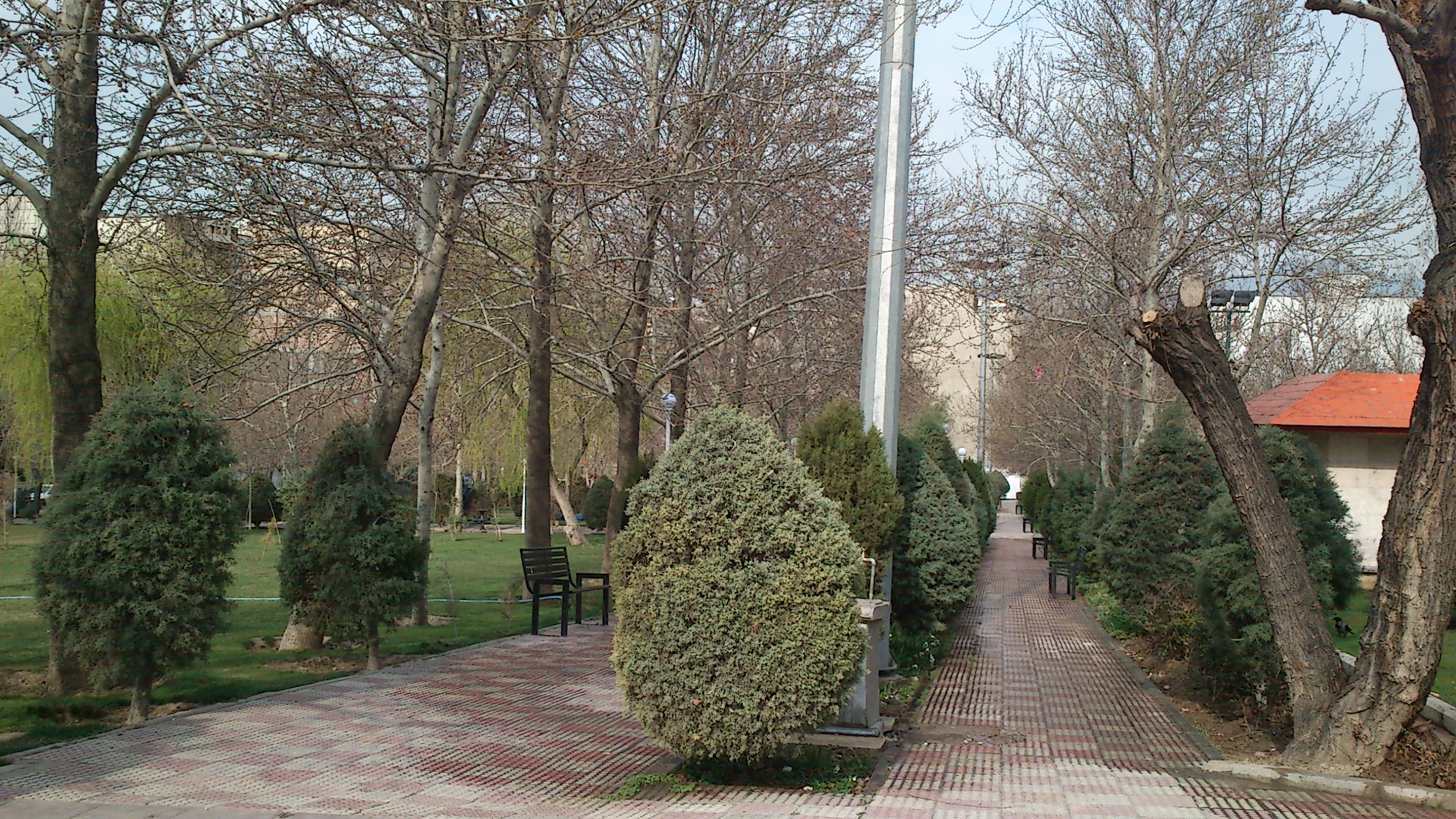 DSC_0014.jpg