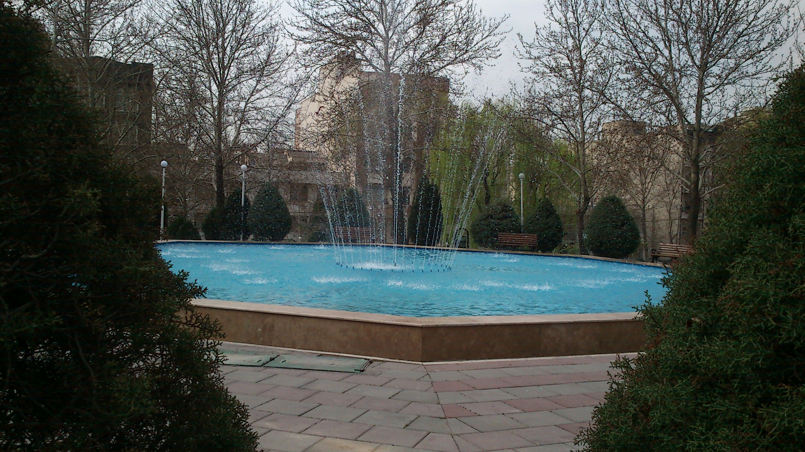 DSC_0003.jpg
