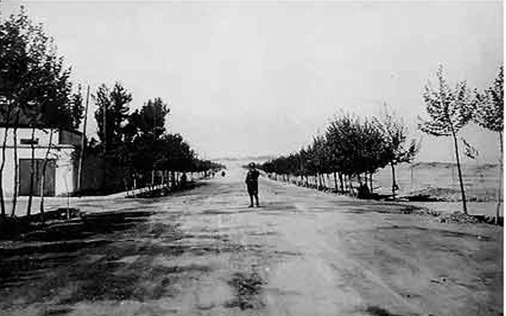 61 - خیابان پهلوی سال 1315 -ولیعصر.jpg