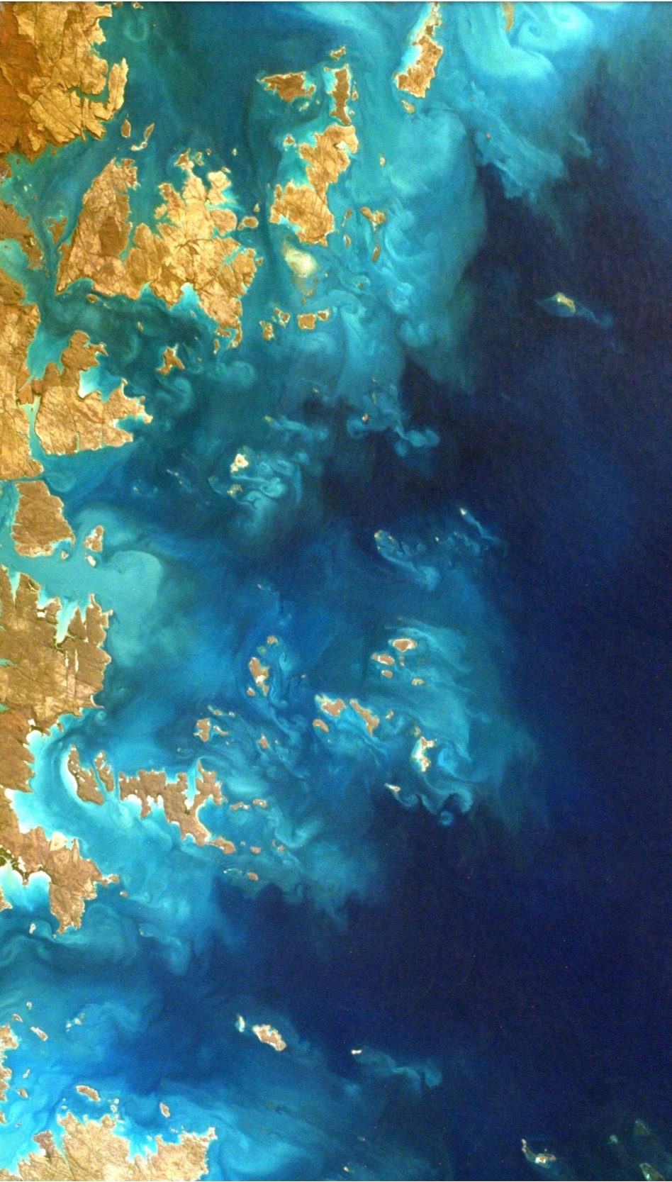 Screenshot_20220114_195622.jpg