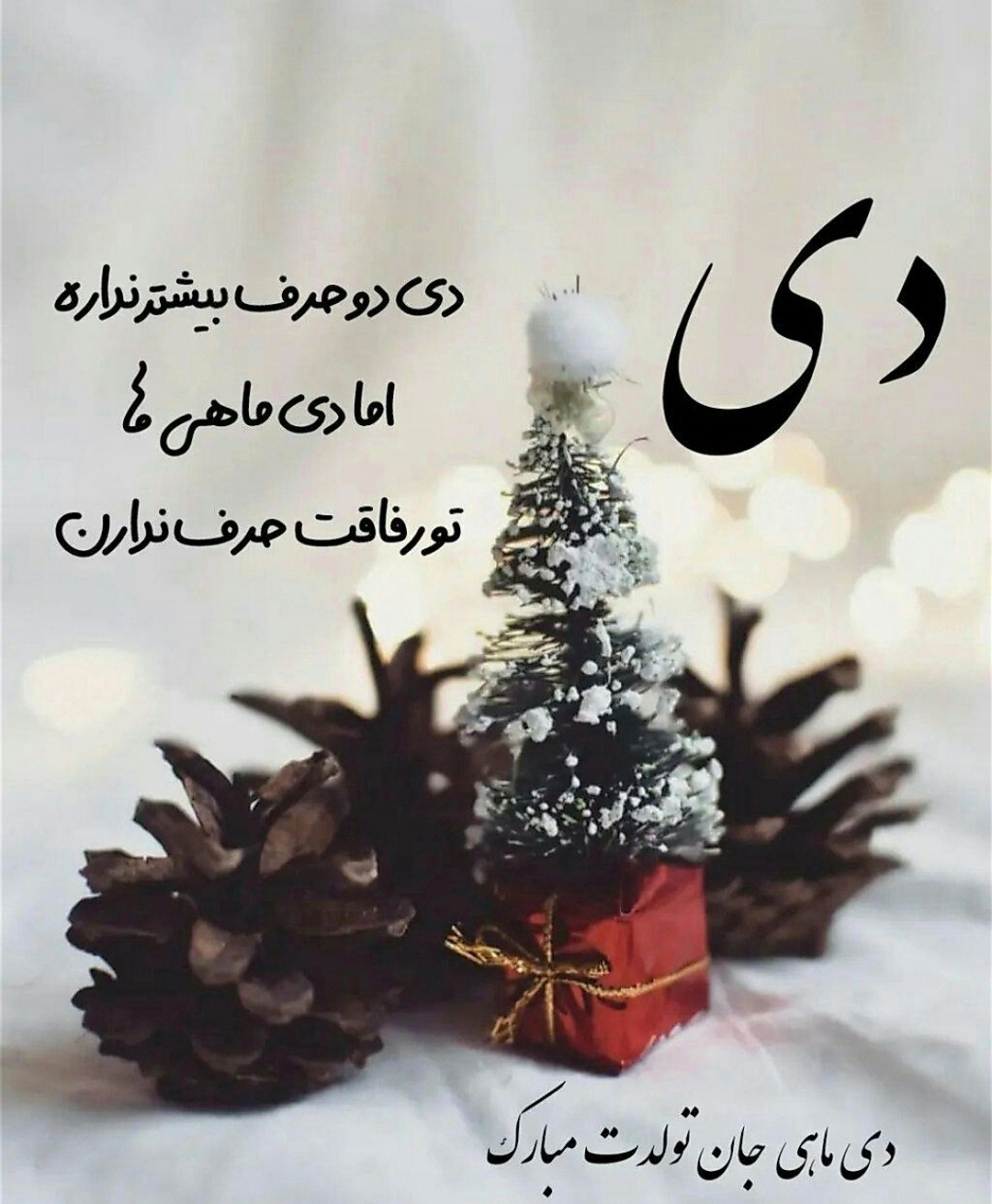 Screenshot_20221226_124059.jpg