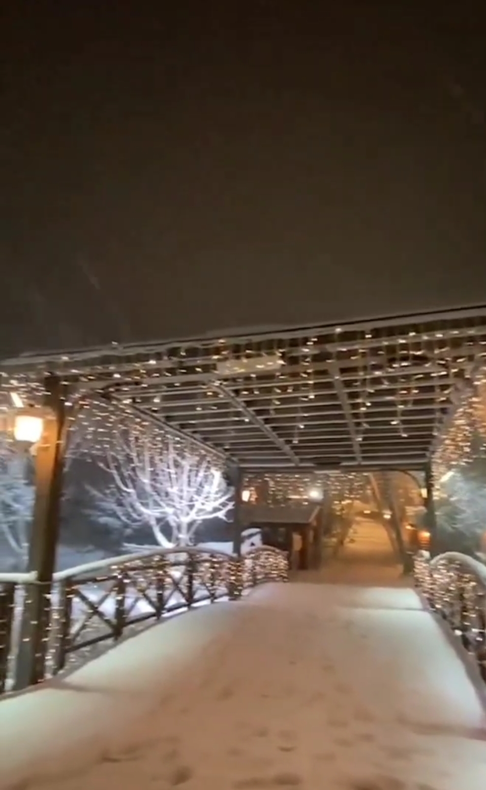 Screenshot_20240116_212529.jpg