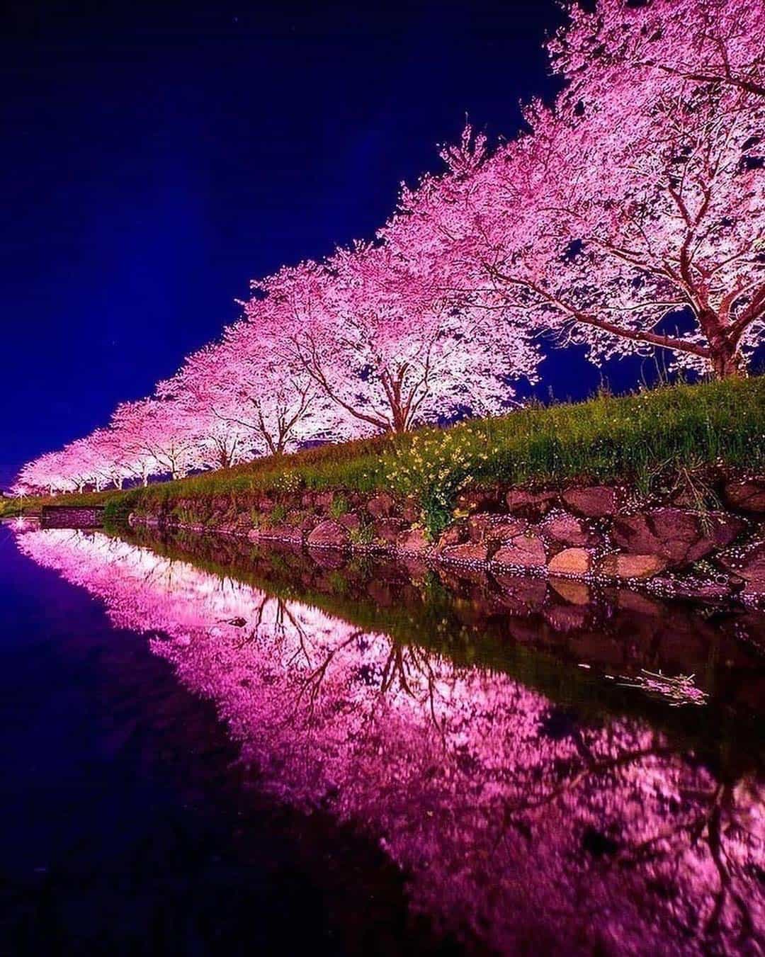 عکس-منظره-زیبا_036.jpg