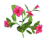aksgif_ir_Marriage_of_Imam_Ali_AS_and_Hazrat_Zahra_SA_ازدواج_حضرت_علی_با_حضرت_زهرا_9.gif