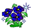 2oih_1381.gif