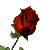 331.gif