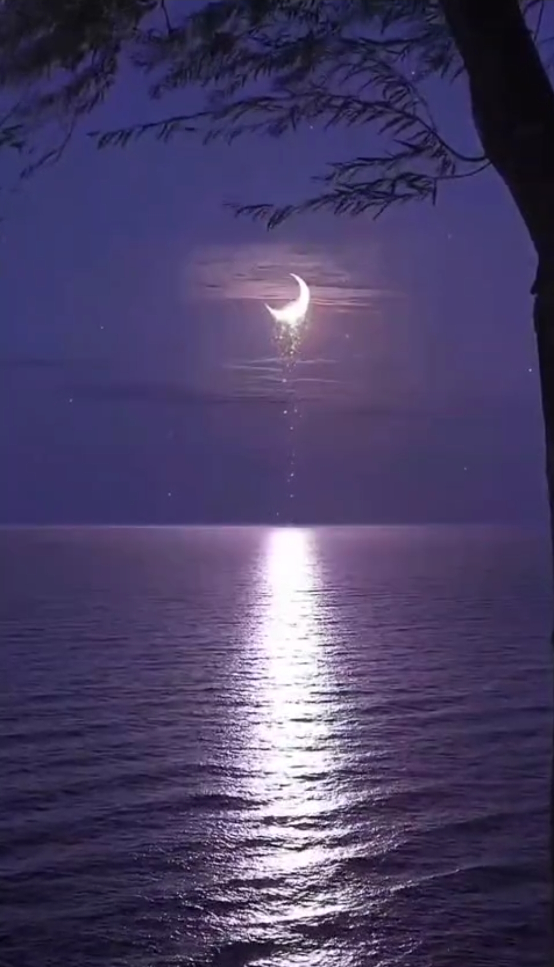 Screenshot_20250922_221124.jpg